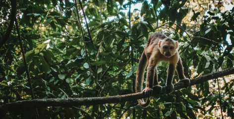 Parque Nacional Natural Tayrona